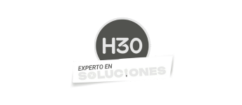 H30